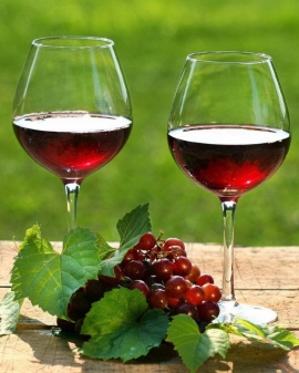 Cata de vinos - Maridaje - Sumiller